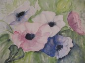 Anemonen - 2004