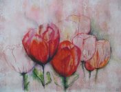 Tulpen - 2005